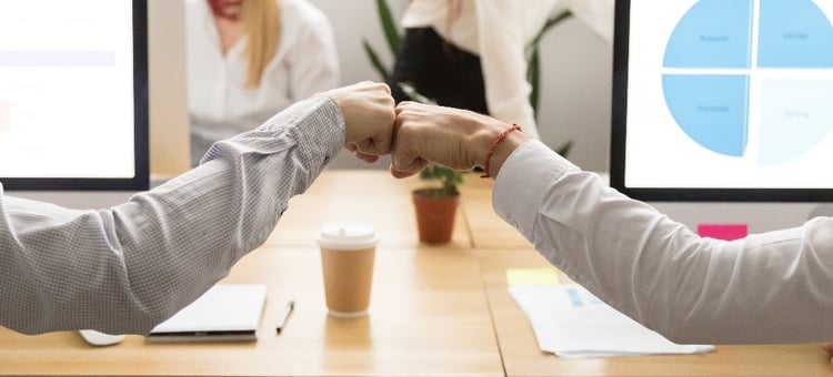 Employee wellness: job satisfaction
