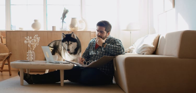 Employee wellness: work environment